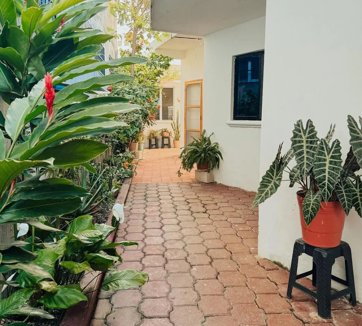 Villa Magnolia - Cozy Hideaway Cozumel Mexico